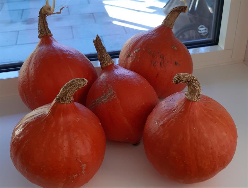 eine Gruppe roter Tomaten